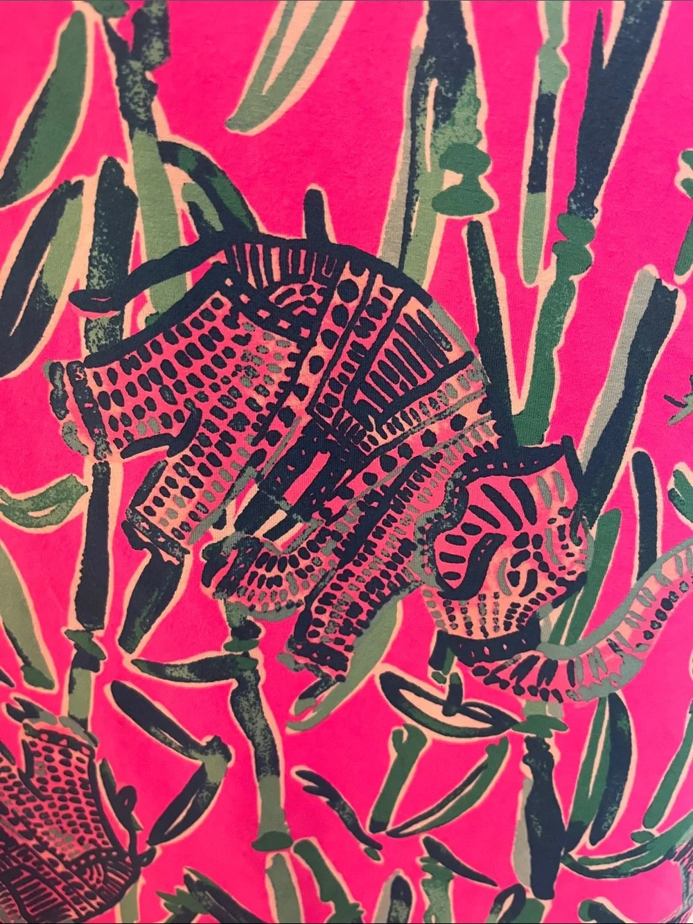 Lilly Pulitzer adorable girls